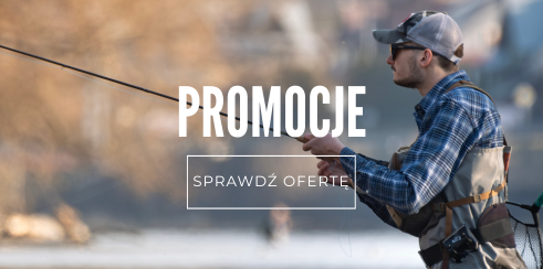 Promocje Promocje
