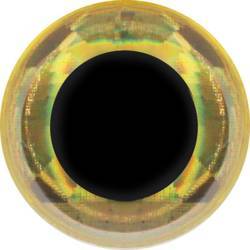 FFGene Soft 3D Eyes -4mm - Prizm Gold